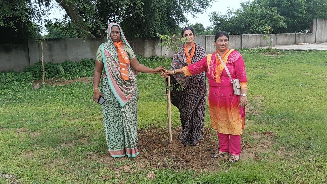 Tree plantation drive in rural community