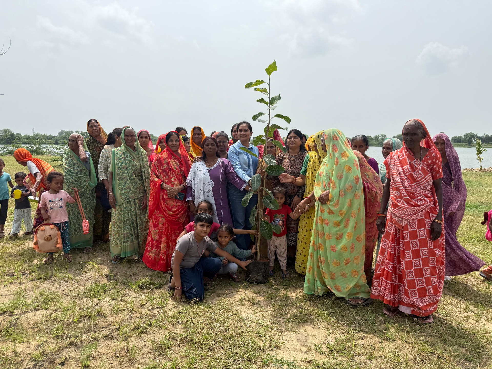 Volunteers participating in tree drive
